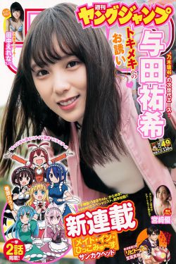 电视剧 一生只爱你